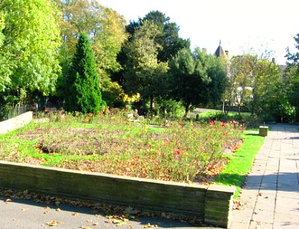Bishops Park, London